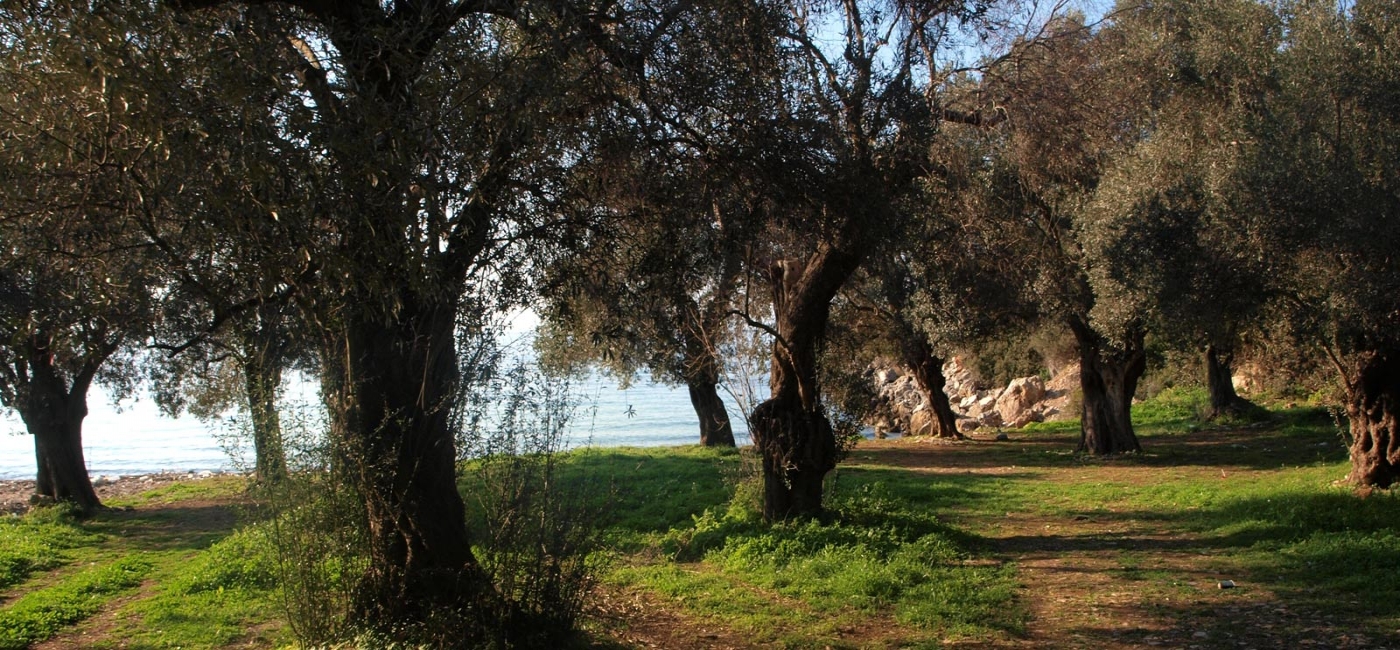 Διαδρομή 2ώρες στη φύση