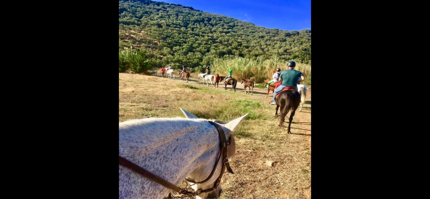 Nature Riding 60'