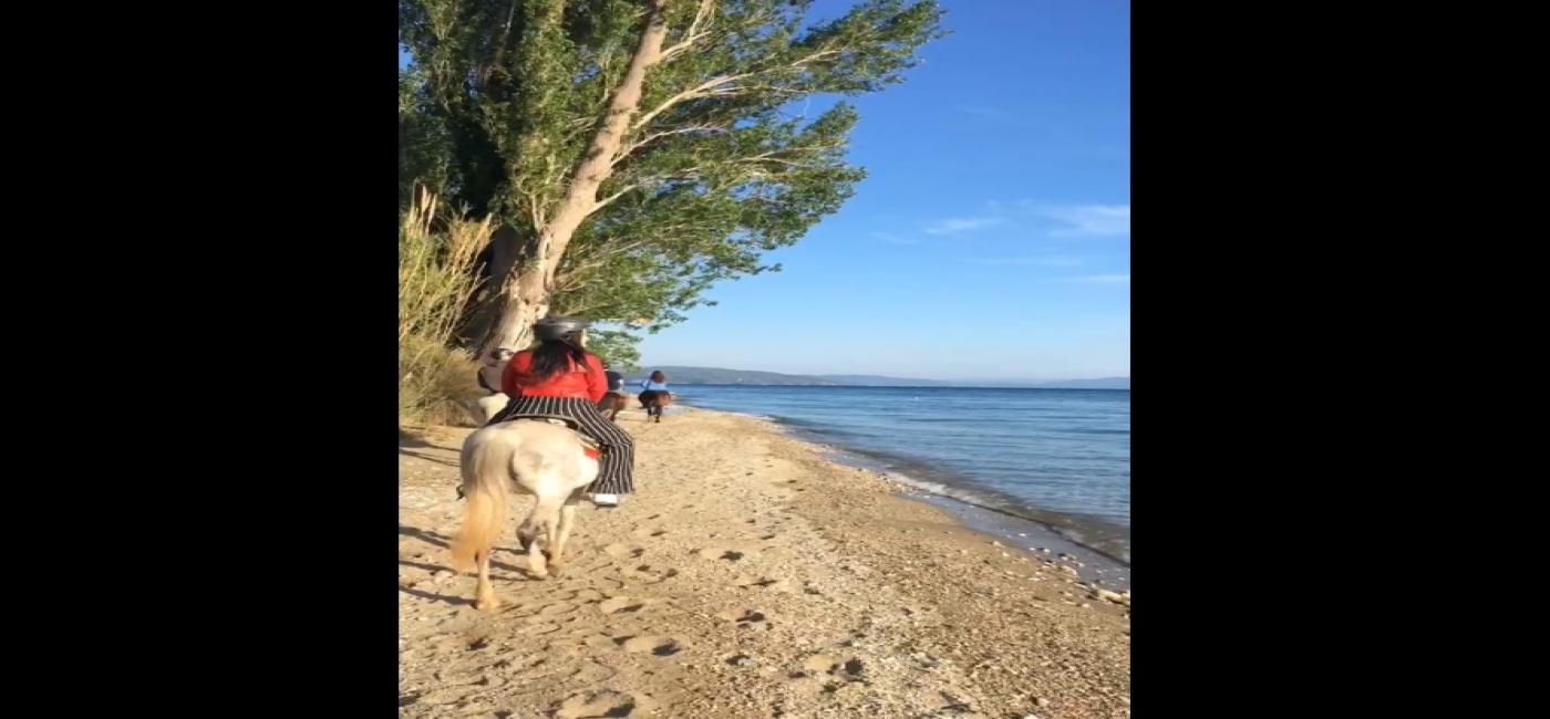 Sea Horse Riding 60'