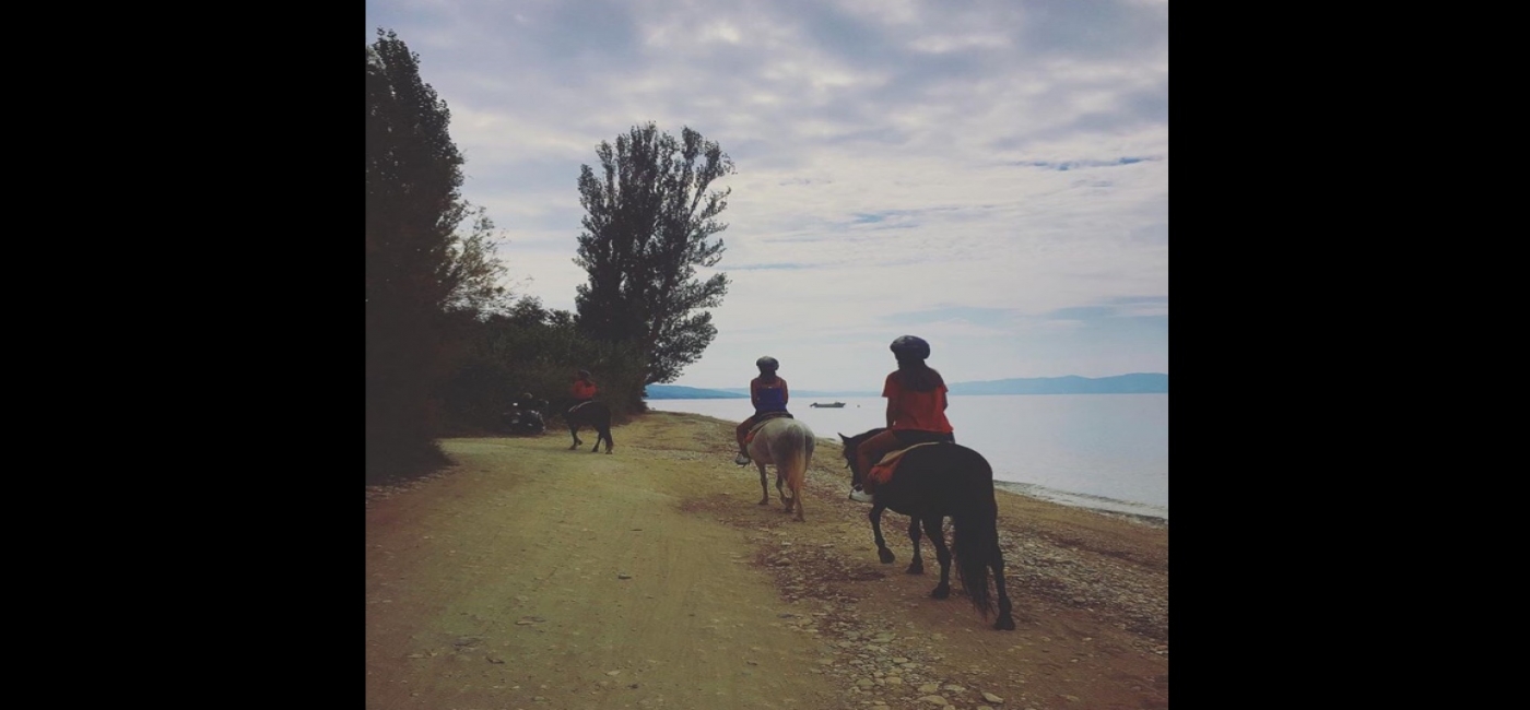 Sea Horse Riding 60'