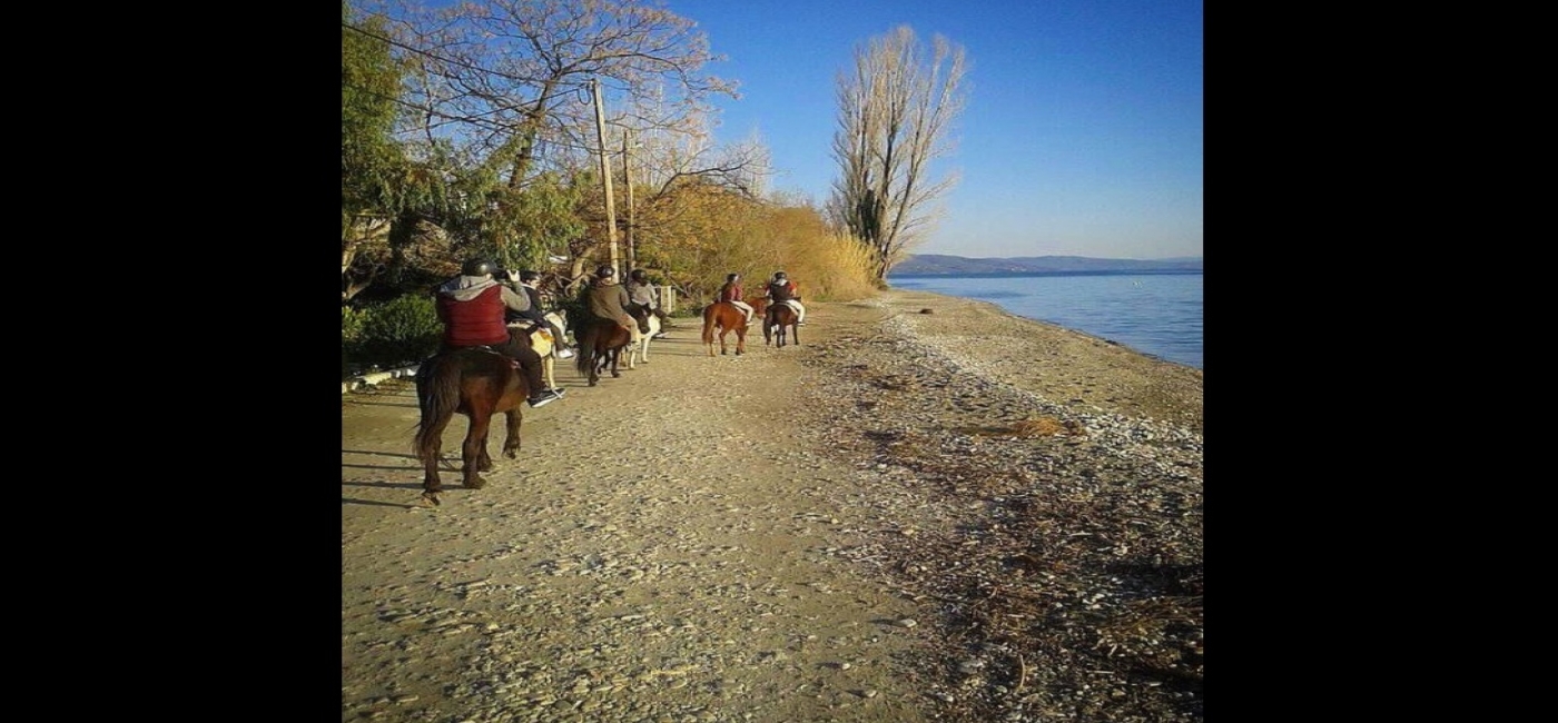 Sea Horse Riding 60'