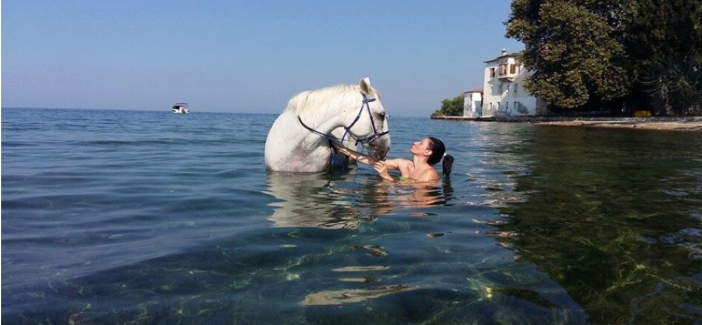 Swimming horseriding