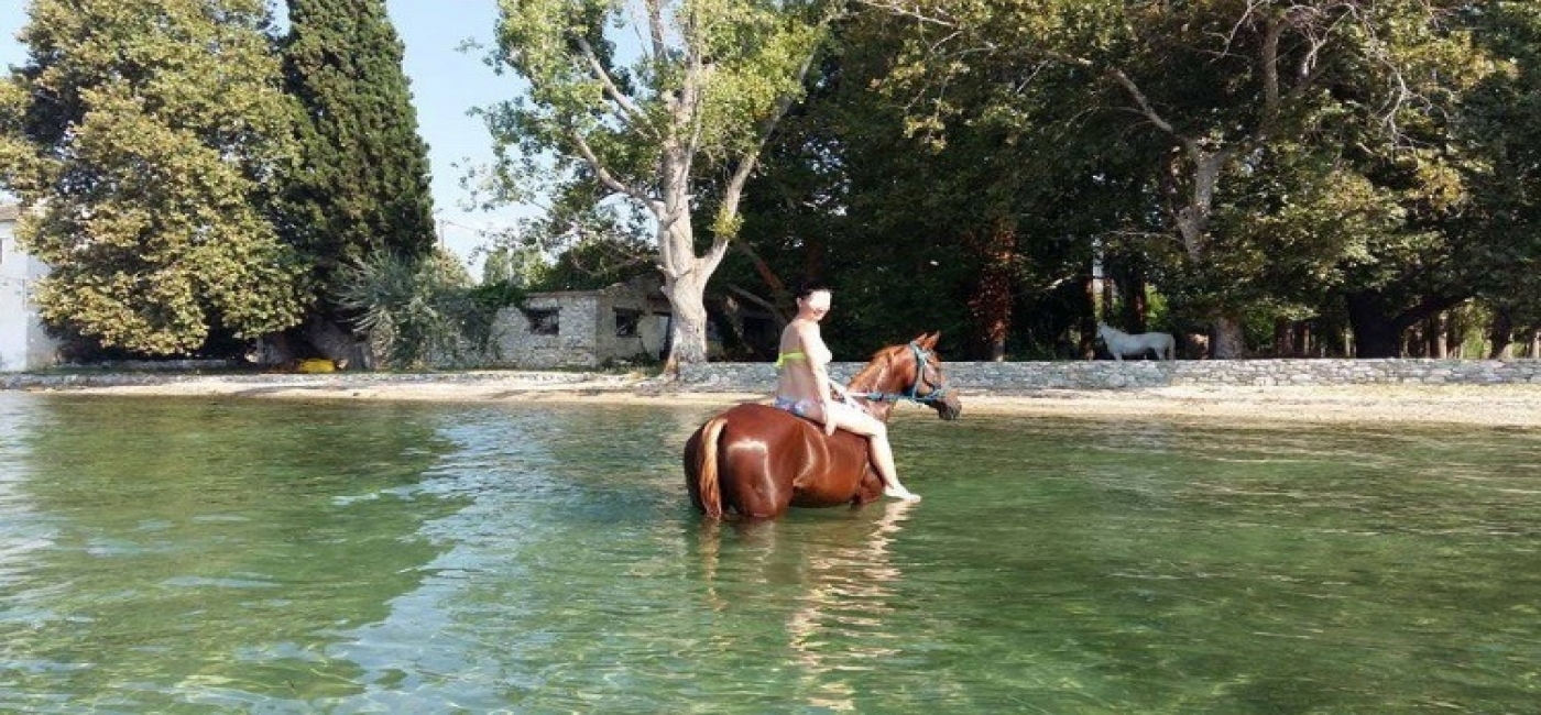 Swimming horseriding